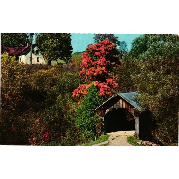 Vintage Stowe Hollow Covered Bridge Postcard Vermont Fall Trees Foliage - Picture 1 of 2